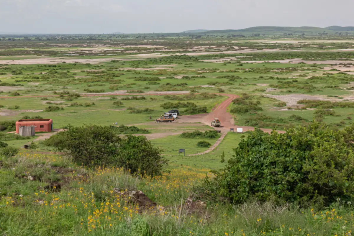View across green Amboseli swamps and plains from a high viewpoint