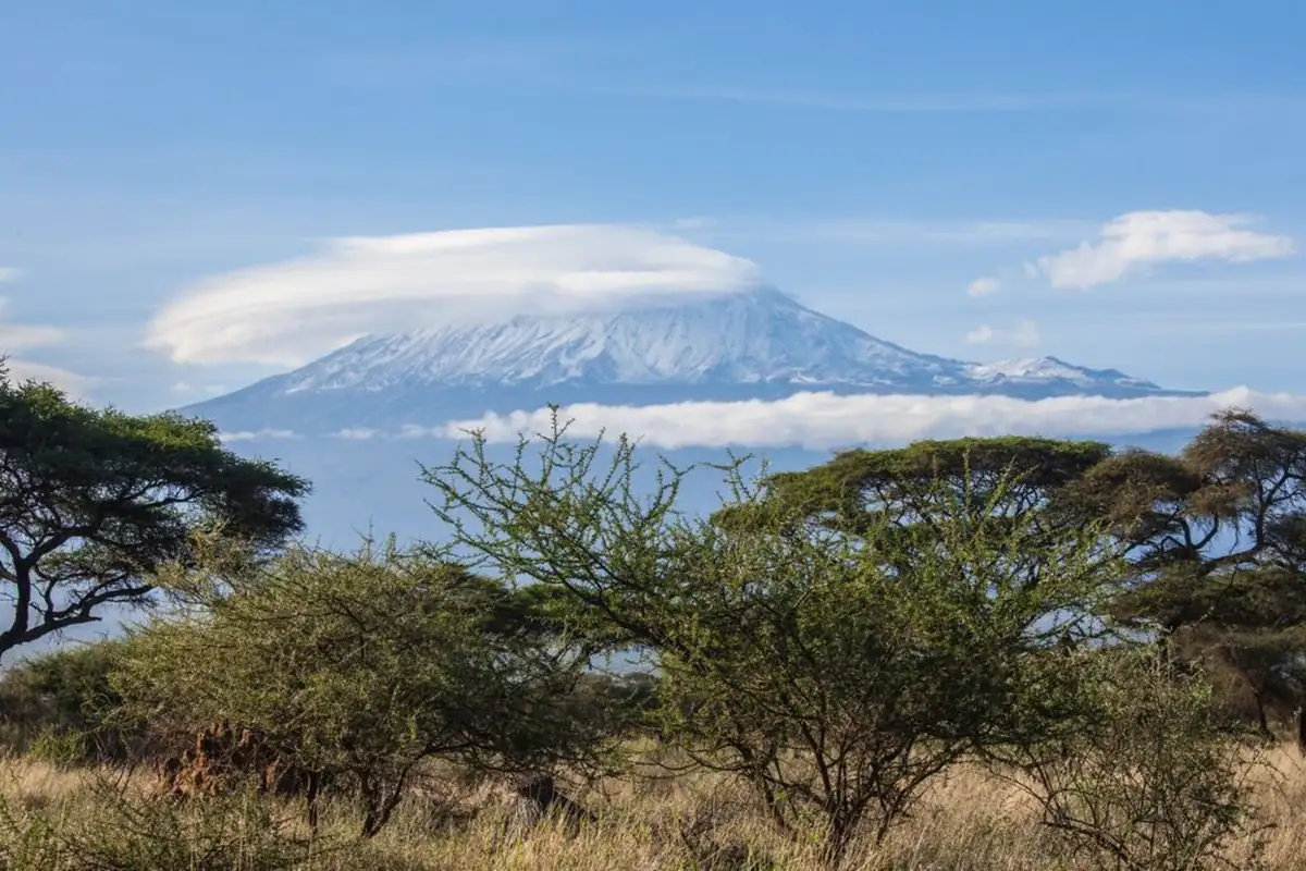Mount Kilimanjaro with a cloud cap above acacia trees in Amboseli