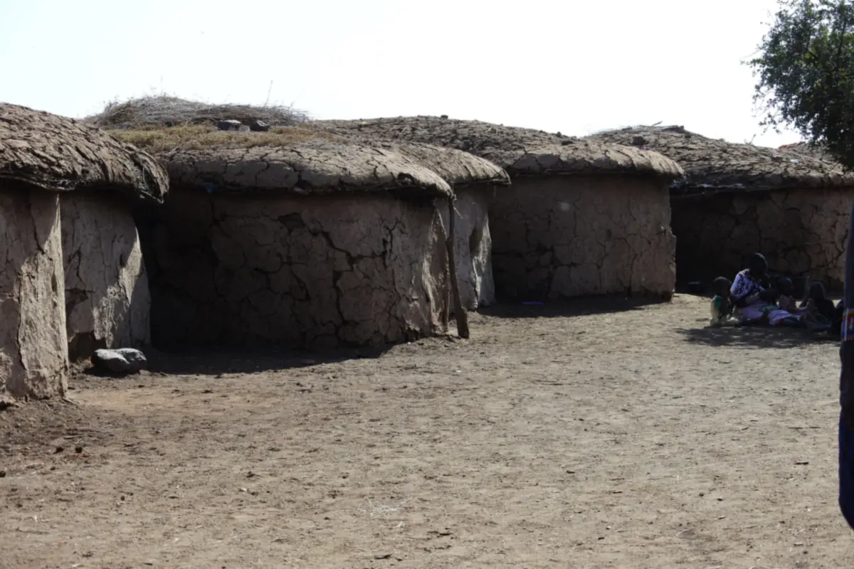 Traditional Maasai homestead huts near Amboseli