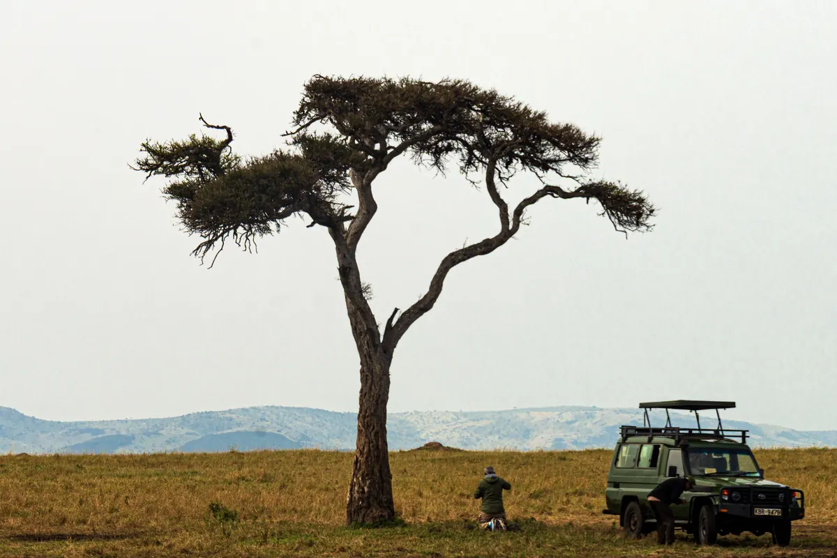 Safari vehicle parked beneath an acacia on open Kenyan savannah