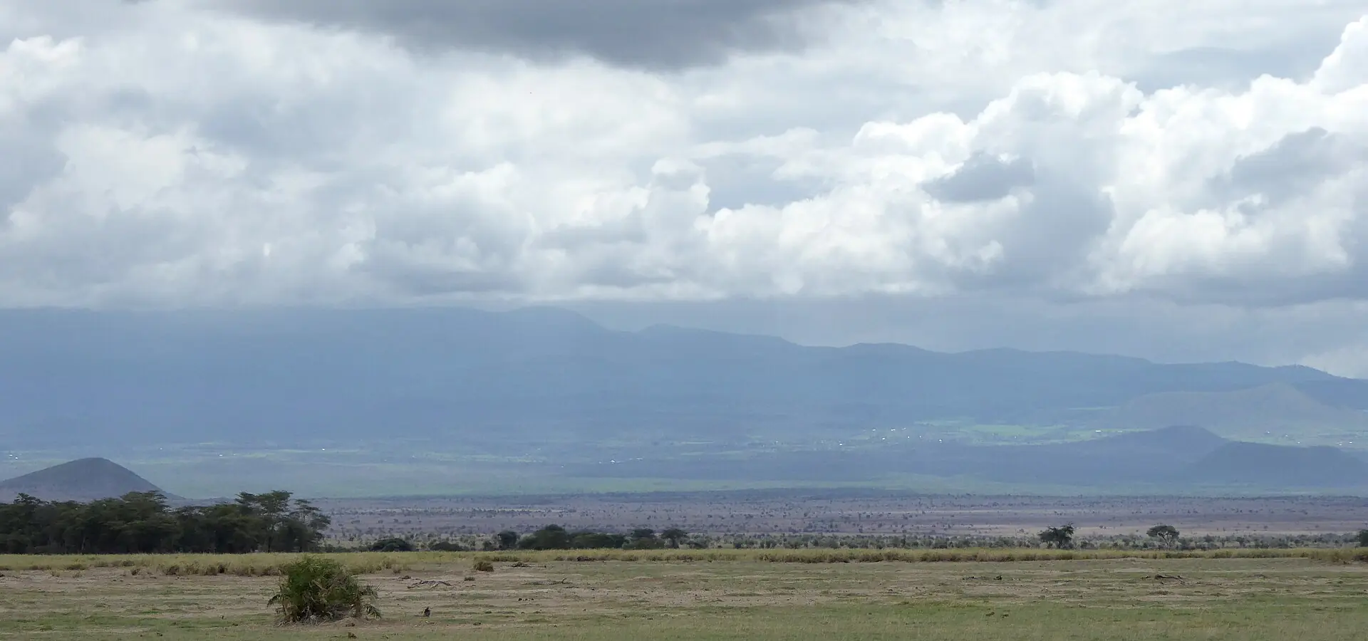 Open Amboseli plains under heavy cloud