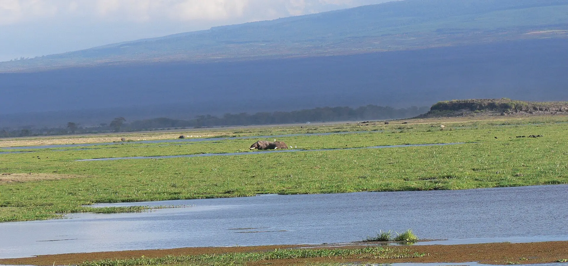 Amboseli swamp with a mountain behind