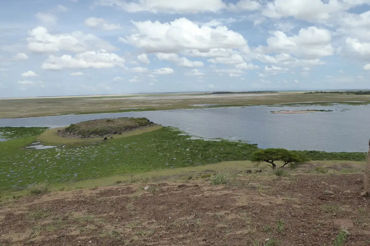 Amboseli National Park: facts and visitor basics guide